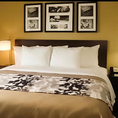 ניו יורק The Vue Inn Brooklyn מראה חיצוני תמונה